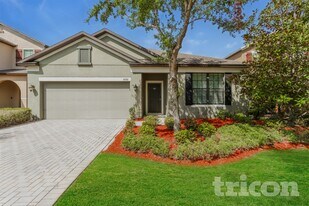 10152 Celtic Ash Dr in Ruskin, FL - Building Photo