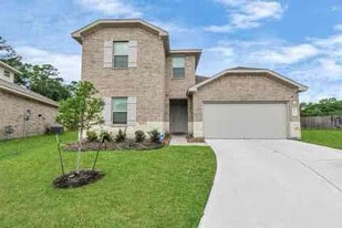 23702 Blodgett Peak Trl in Spring, TX - Building Photo