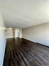 249 Chestnut St in Wyandotte, MI - Building Photo - Building Photo