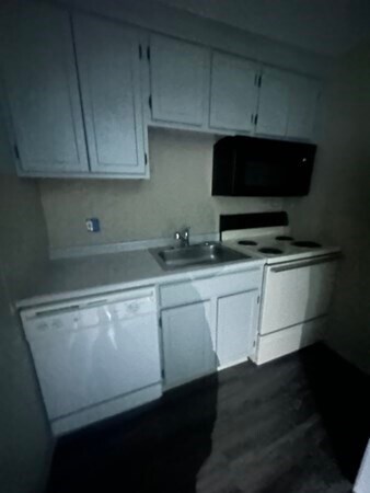 375 Harvard St in Cambridge, MA - Building Photo - Building Photo