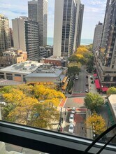 1030 N State St in Chicago, IL - Building Photo - Building Photo