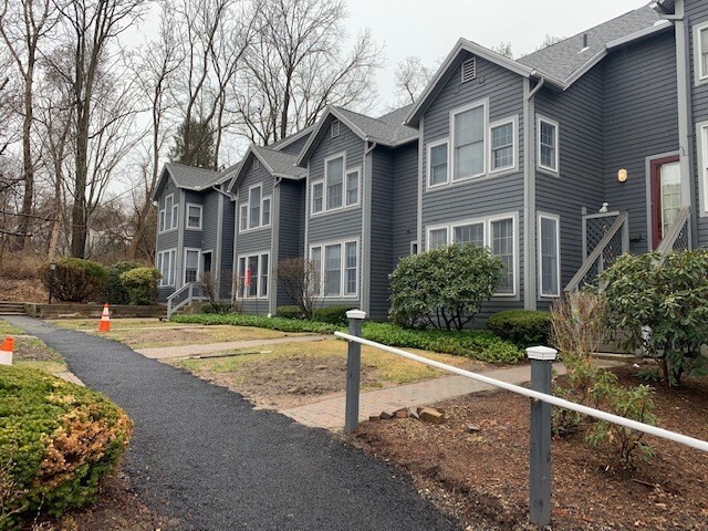 29 Amity Pl in Amherst, MA - Building Photo - Building Photo