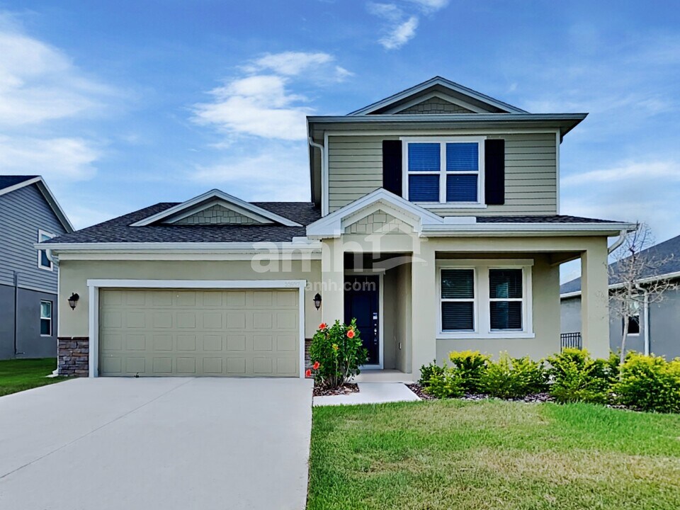 33937 Widman Way in Zephyrhills, FL - Building Photo