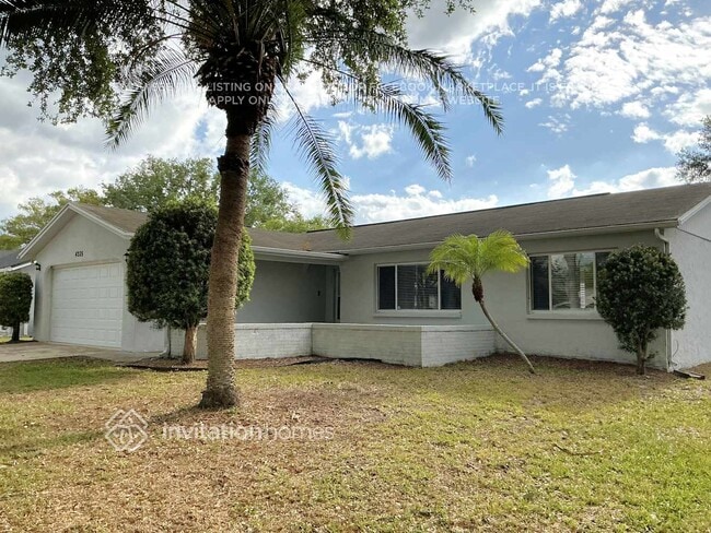4205 Gray Squirrel Ln in New Port Richey, FL - Foto de edificio - Building Photo