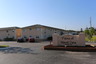 Palms of Mount Dora in Mount Dora, FL - Foto de edificio - Building Photo