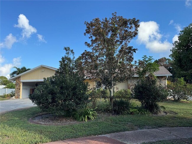 1330 Sunset Ct in Tarpon Springs, FL - Building Photo - Building Photo