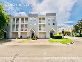 4539 Bay Spring Ct in Tampa, FL - Building Photo