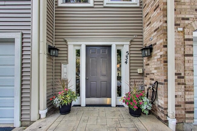 534 River Front Cir in Naperville, IL - Building Photo - Building Photo