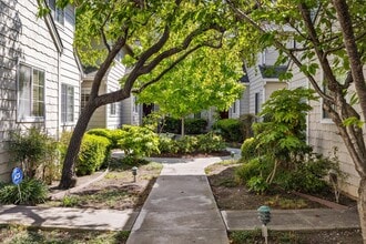 173 Sierra Vista Ave in Mountain View, CA - Building Photo - Building Photo