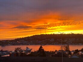 1964 Harvard Ave E, Unit 1964 in Seattle, WA - Building Photo
