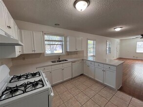 1513 Ruth Ave in Austin, TX - Building Photo - Building Photo