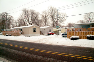 Tiny Village Mobile Home Park in Flat Rock, MI - Building Photo - Building Photo