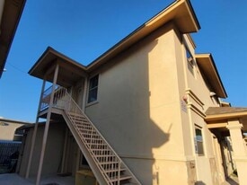 1007 Emerald Valley Dr in Laredo, TX - Building Photo