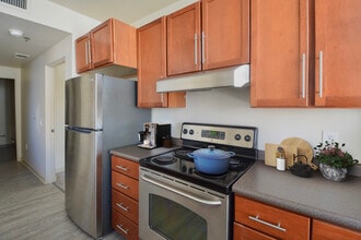 Professional Building Lofts in Kansas City, MO - Foto de edificio - Building Photo
