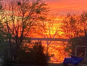 223 Port Dr in Gun Barrel City, TX - Building Photo - Building Photo