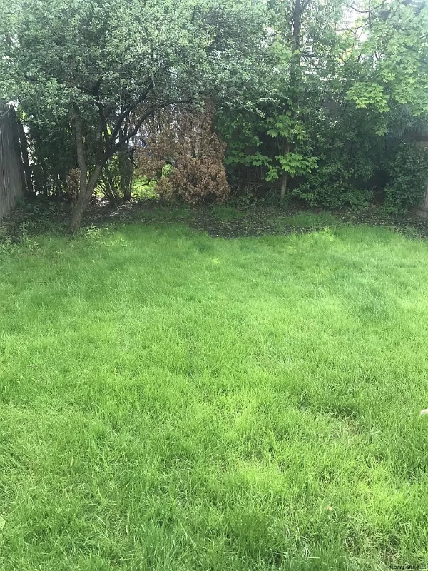 1 Southern Blvd, Unit 1, Albany, NY in Albany, NY - Building Photo - Building Photo