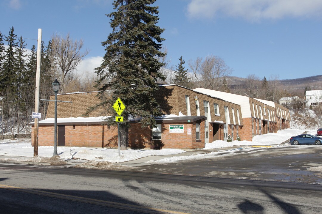 Mountain View Apartments - 56 Units in Hunter, NY - Building Photo