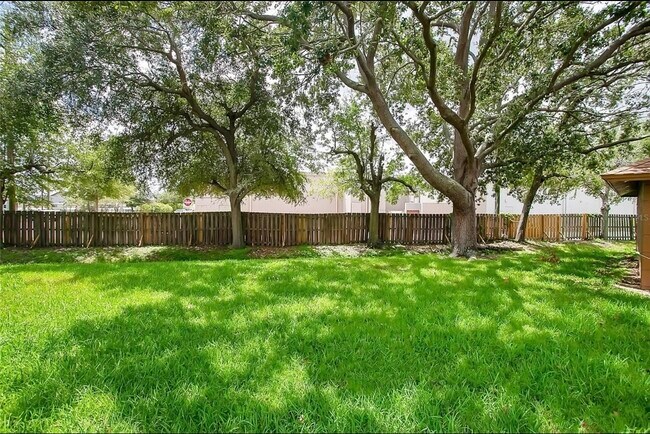 340 Douglas Way in Winter Garden, FL - Building Photo - Building Photo