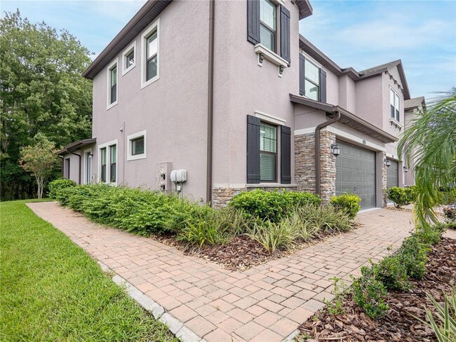 5134 San Martino Dr in Wesley Chapel, FL - Building Photo - Building Photo