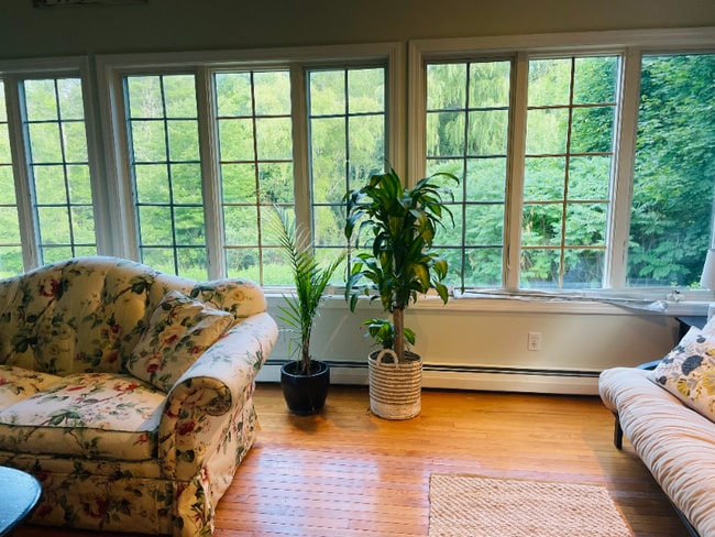 property at 436 U.S. Rte 1
