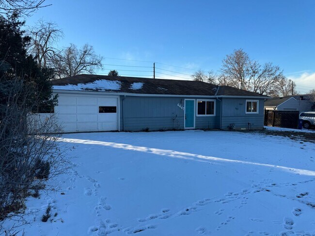 6447 S Louthan St in Littleton, CO - Building Photo - Building Photo