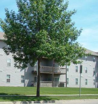 Primrose Court in Grand Forks, ND - Building Photo