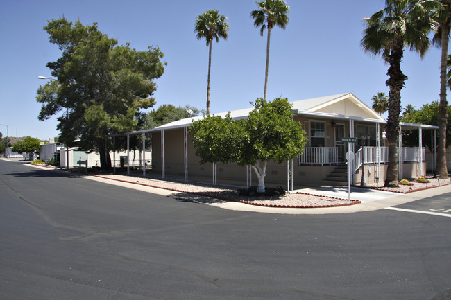 Paradise North in Phoenix, AZ - Building Photo - Building Photo