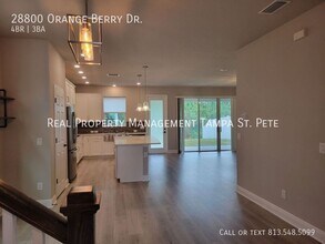 28800 Orange Berry Dr in Wesley Chapel, FL - Building Photo - Building Photo