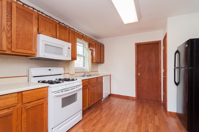 735 Emerald Ave NE in Grand Rapids, MI - Building Photo - Building Photo