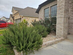 20925 Akbash Ln in Pflugerville, TX - Building Photo - Building Photo