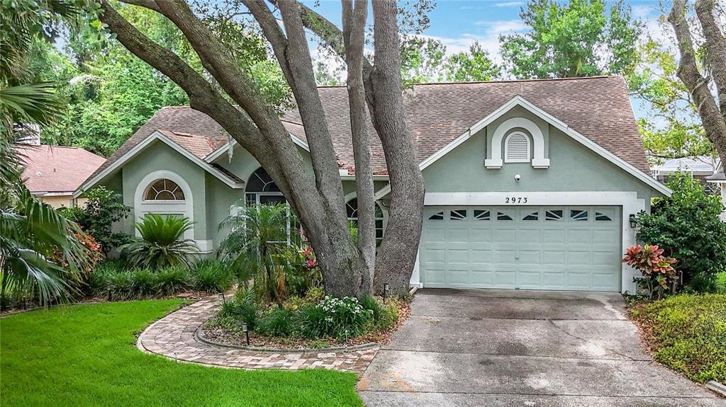 2973 Spring Oak Ct in Palm Harbor, FL - Building Photo