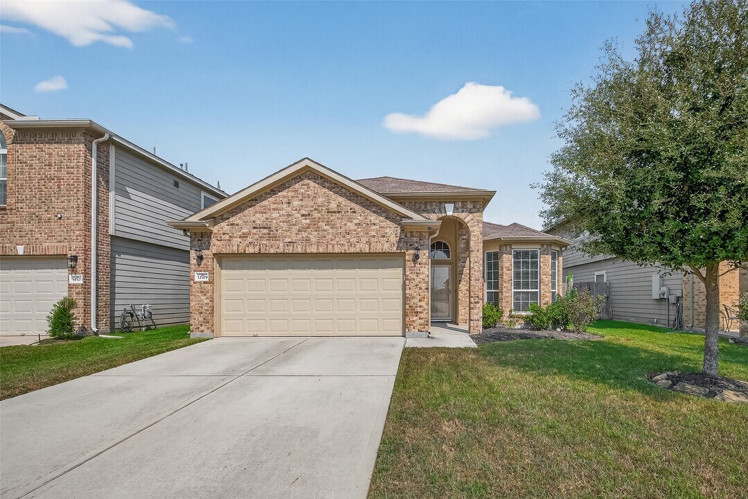 12519 King Harry Dr in Houston, TX - Building Photo