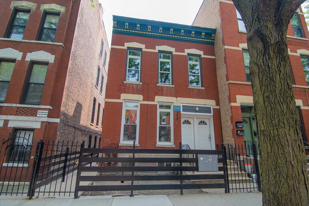 859 N Marshfield Ave in Chicago, IL - Building Photo