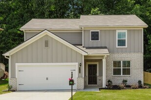 219 Hamilton Pointe Dr in Mcdonough, GA - Building Photo