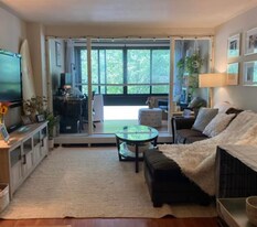 18 Juniper St, Unit #49 in Brookline, MA - Building Photo