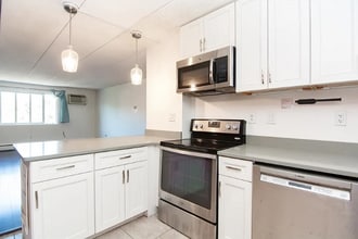 47 Homer Ave, Unit APT 53 in Cambridge, MA - Building Photo - Building Photo
