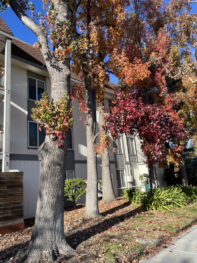 property at 4081 Clayton Rd