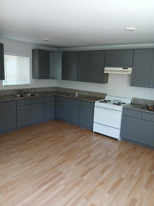 1133 E 101st St in Los Angeles, CA - Building Photo - Building Photo