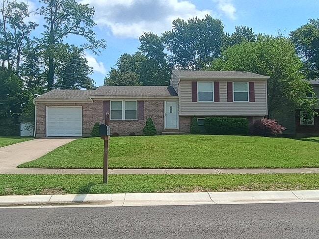904 Leslie Ct