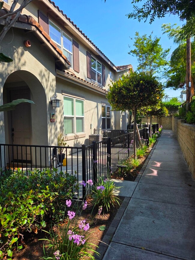 property at 430 Caminito Azul