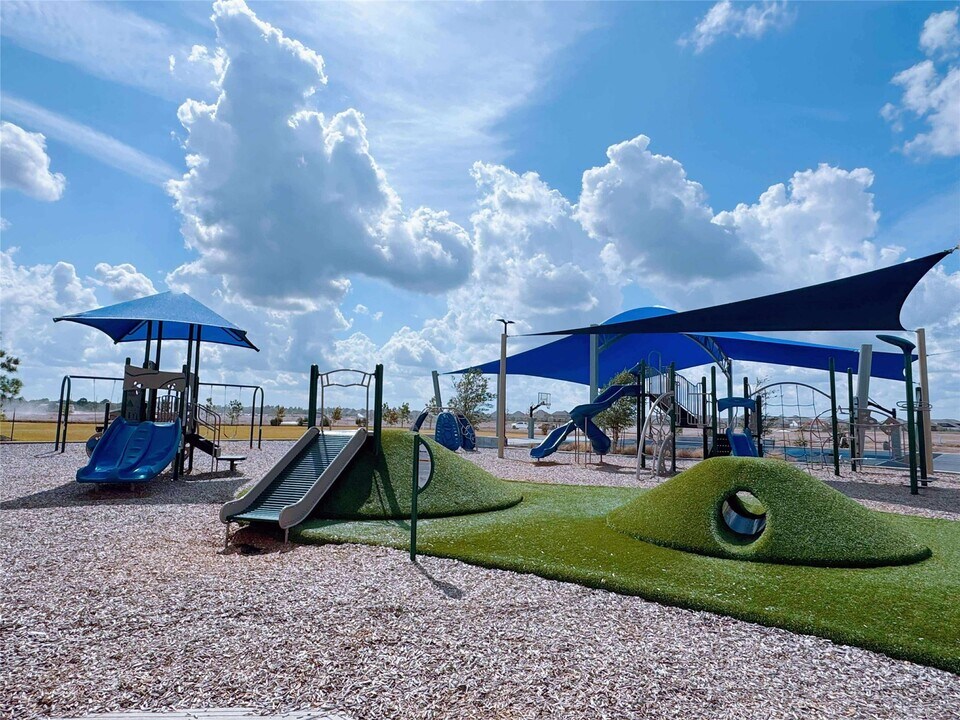 2519 American Ruby Dr in Rosharon, TX - Building Photo