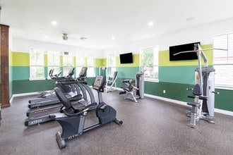 The Emile in Houston, TX - Foto de edificio - Building Photo