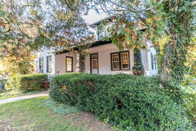 213 Todd Ave in Charlottesville, VA - Building Photo - Building Photo