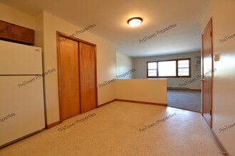 103 S Joliet St, Unit 3 in Wilmington, IL - Building Photo - Building Photo
