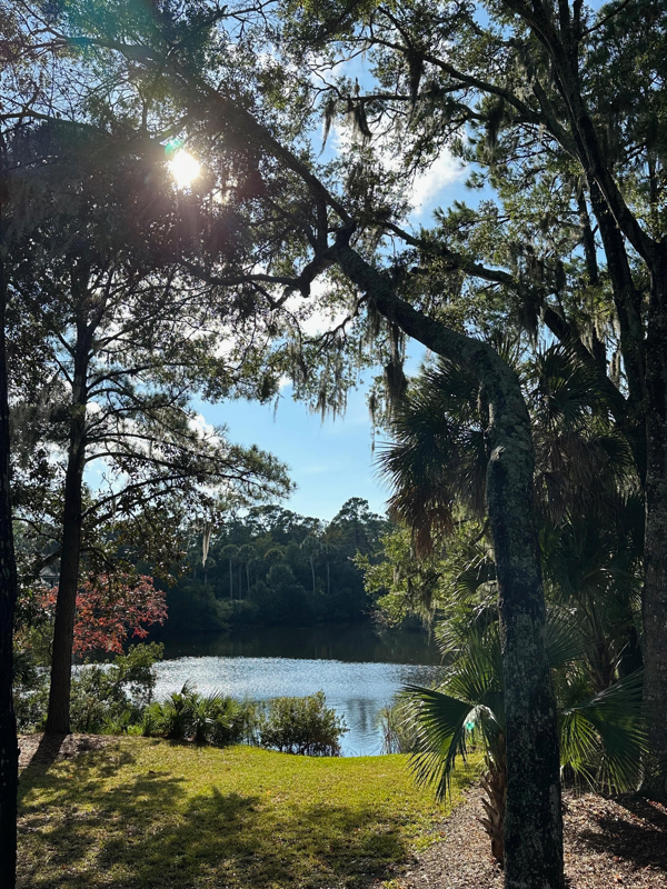 166 Marsh Island Dr in Kiawah Island, SC - Building Photo - Building Photo