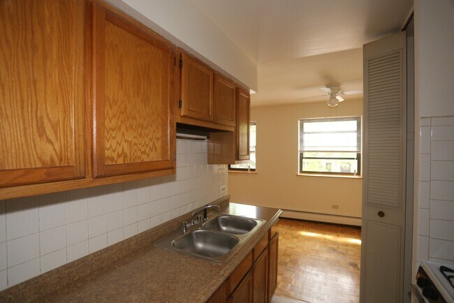 513 W Briar Pl in Chicago, IL - Building Photo - Building Photo