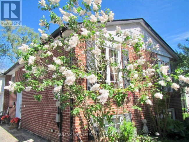 249 Hodgson Dr in Newmarket, ON - Building Photo - Building Photo