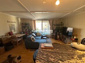 4 Trowbridge Pl in Cambridge, MA - Building Photo - Building Photo