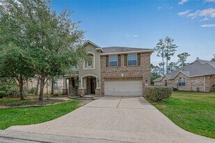 71 N Rocky Point Cir in Spring, TX - Building Photo