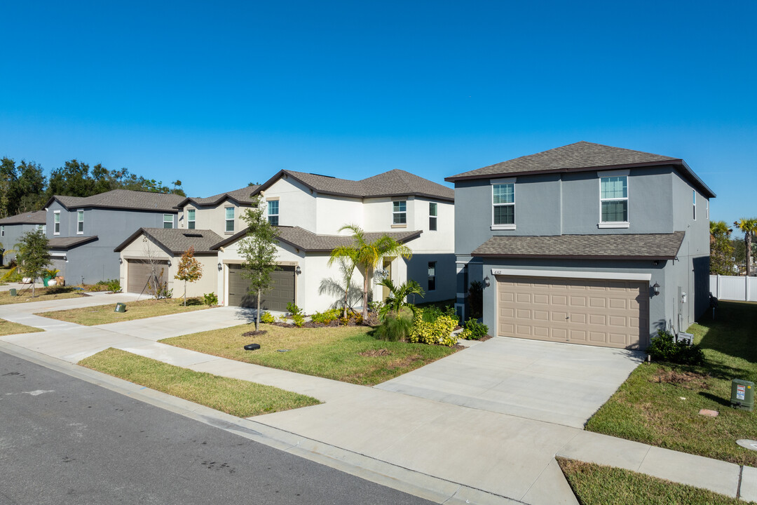 Abbott Square in Zephyrhills, FL - Building Photo